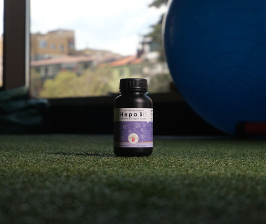 Hepa Sil – натурална формула за чернодробно пречистване и поддръжка.