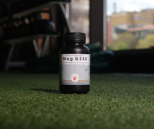Mag G250 – високоусвоим магнезий за нервна система и мускули.