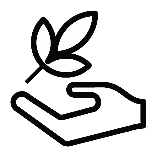 feature-item-2