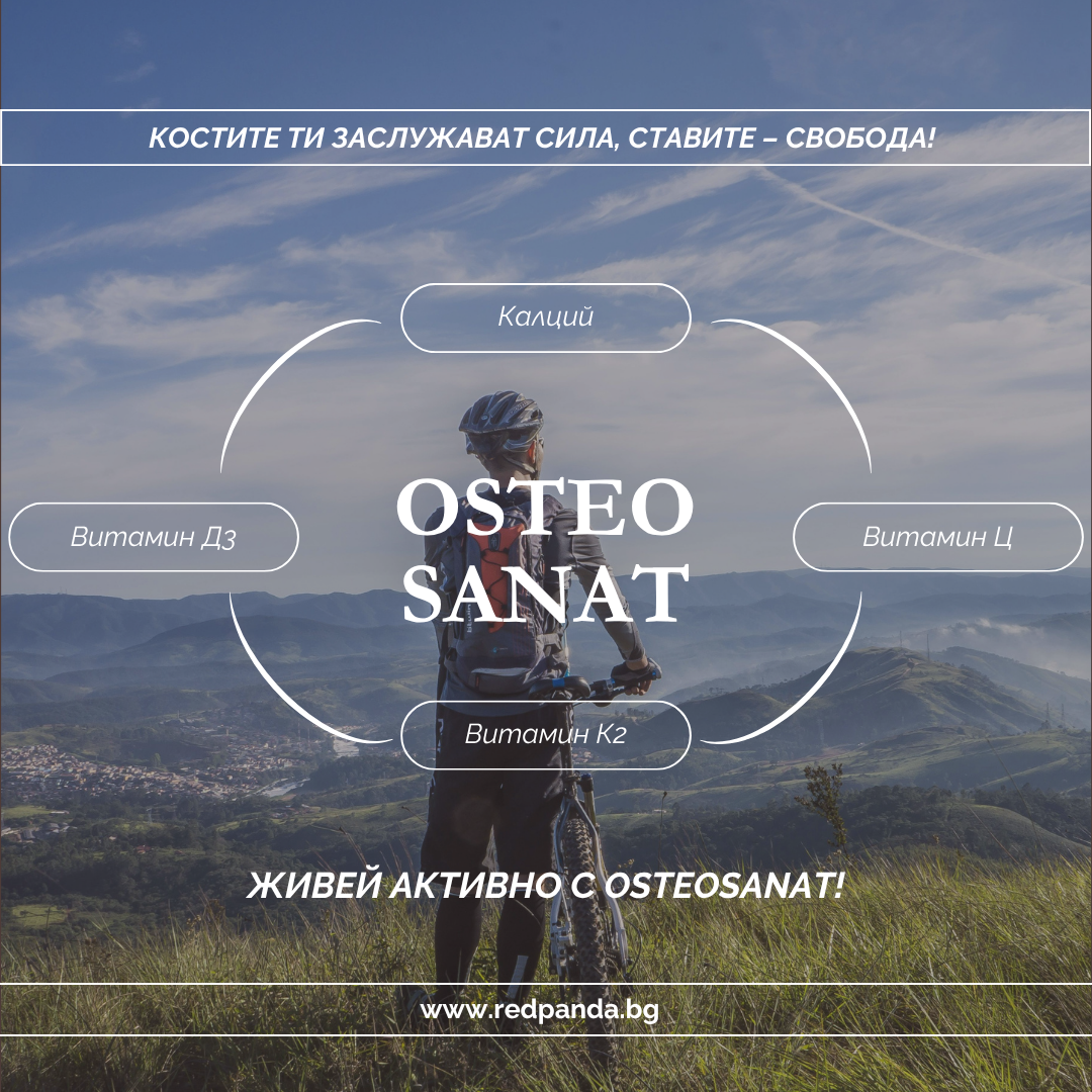 Защо костите и ставите „искат“ повече от просто калций?