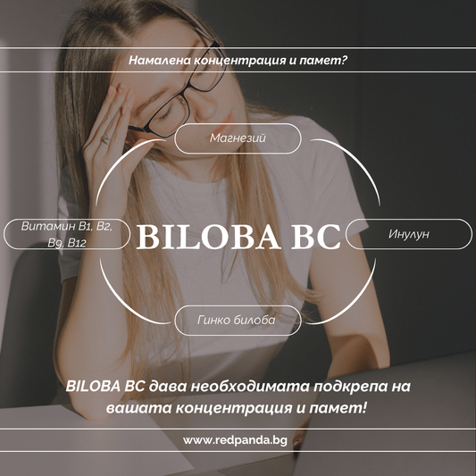 Как да подкрепим концентрацията и паметта си?